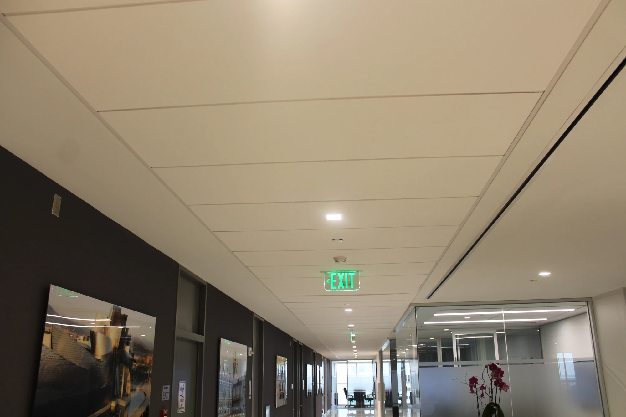 Acoustical Ceilings — Walker project photography